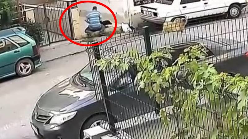 Hatay’da sokak köpeğine tecavüz eden kişi gözaltına alındı!