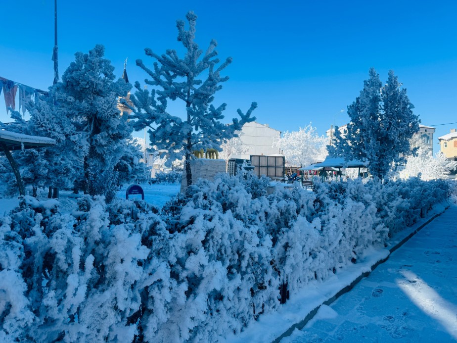 Türkiye’nin en soğuk bölgesinde hayat durma noktasına geldi!