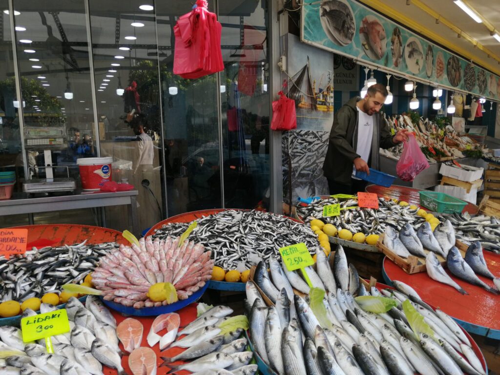 Balık tezgahları doldu taştı: Mevsim balığı Çinekop