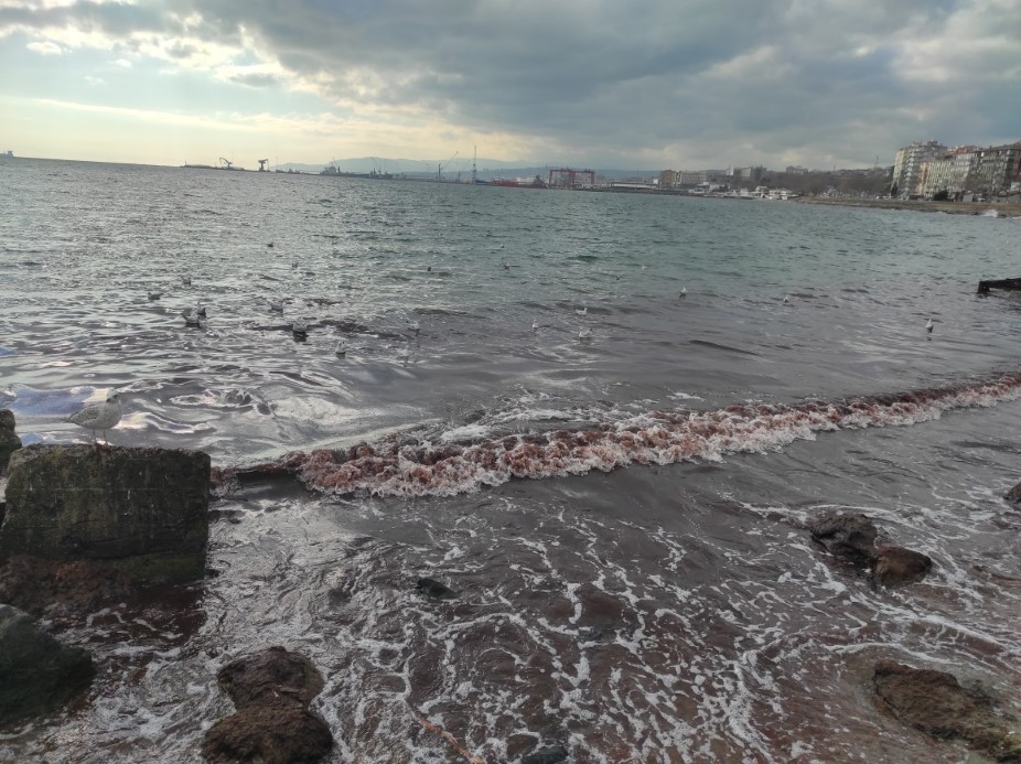 Marmara Denizi kıyıları poyraz fırtınasıyla kızıl renge döndü