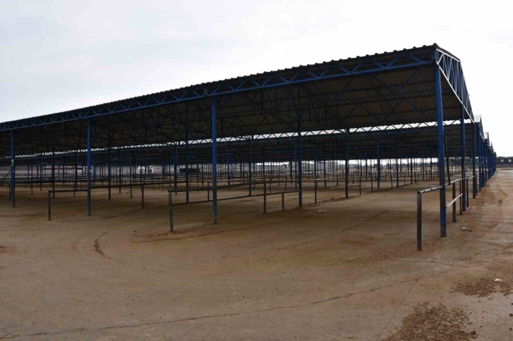 Siverek’te hayvan pazarı 15 gün kapatıldı