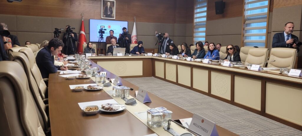 TBMM Komisyonu, kadına yönelik dijital şiddeti gündemine aldı 