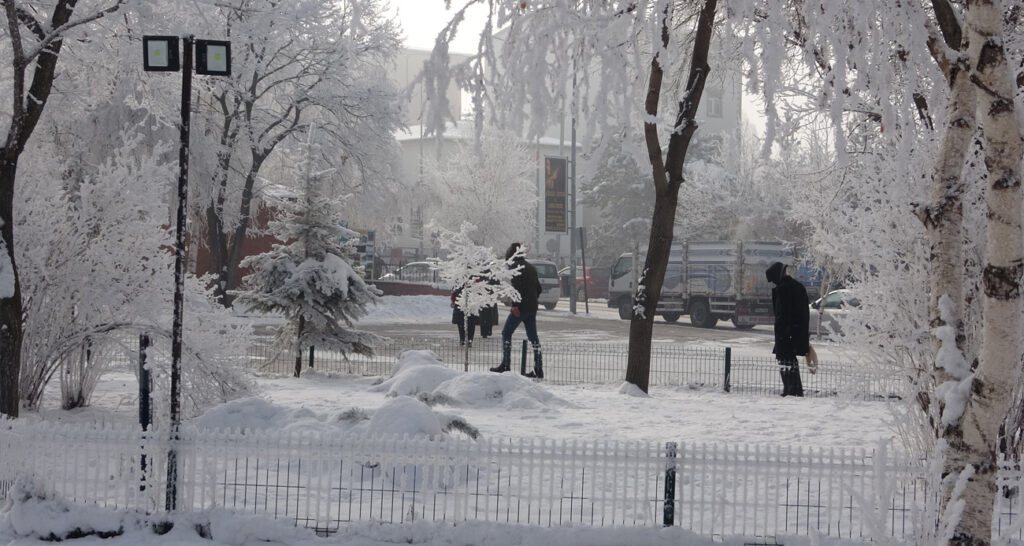 Ardahan’da Sibirya soğukları etkili: Ağaçlar kırağı tuttu, çatılarda buz sarkıtları oluştu