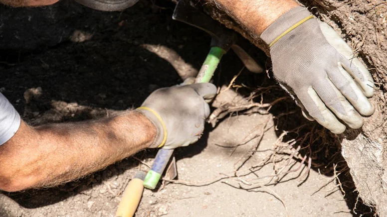 Kastamonu’da kaçak kazı yapan 5 kişi suçüstü yakalandı