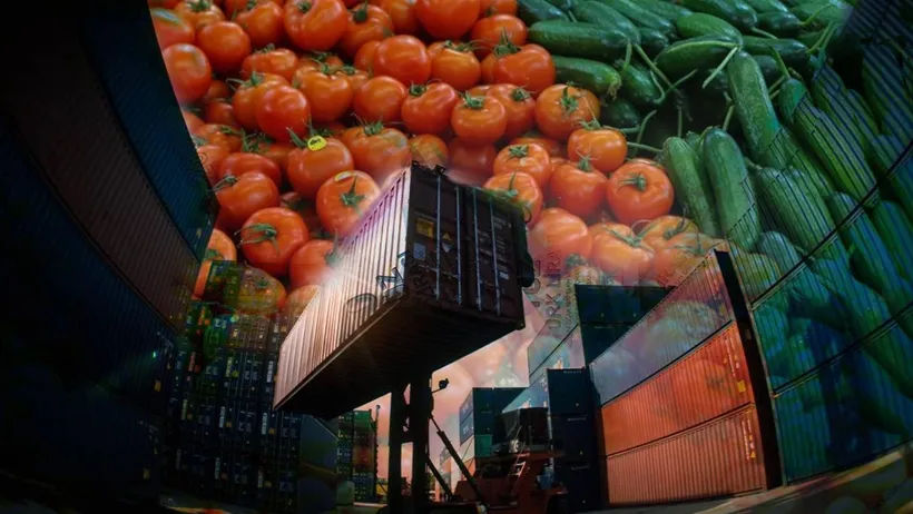 Türkiye tarım i̇hracatında rekor kırdı