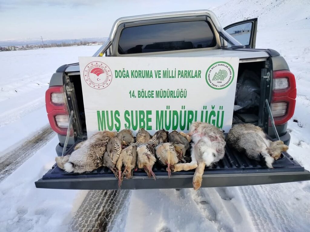 Muş’ta kaçak avcılara toplam 90 bin 582 TL ceza kesildi