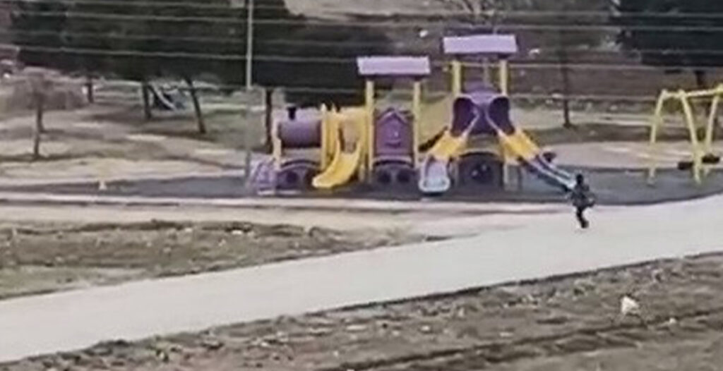 Adıyaman’da sokak köpekleri saldırdığı çocuk korku dolu anlar yaşadı