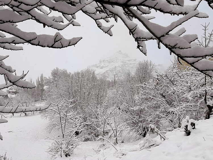 Doğu Karadeniz ve Doğu Anadolu Bölgeleri İçin Çığ Tehlikesi Uyarısı