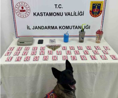 Jandarma, 9 farklı adrese eş zamanlı uyuşturucu operasyonu düzenledi