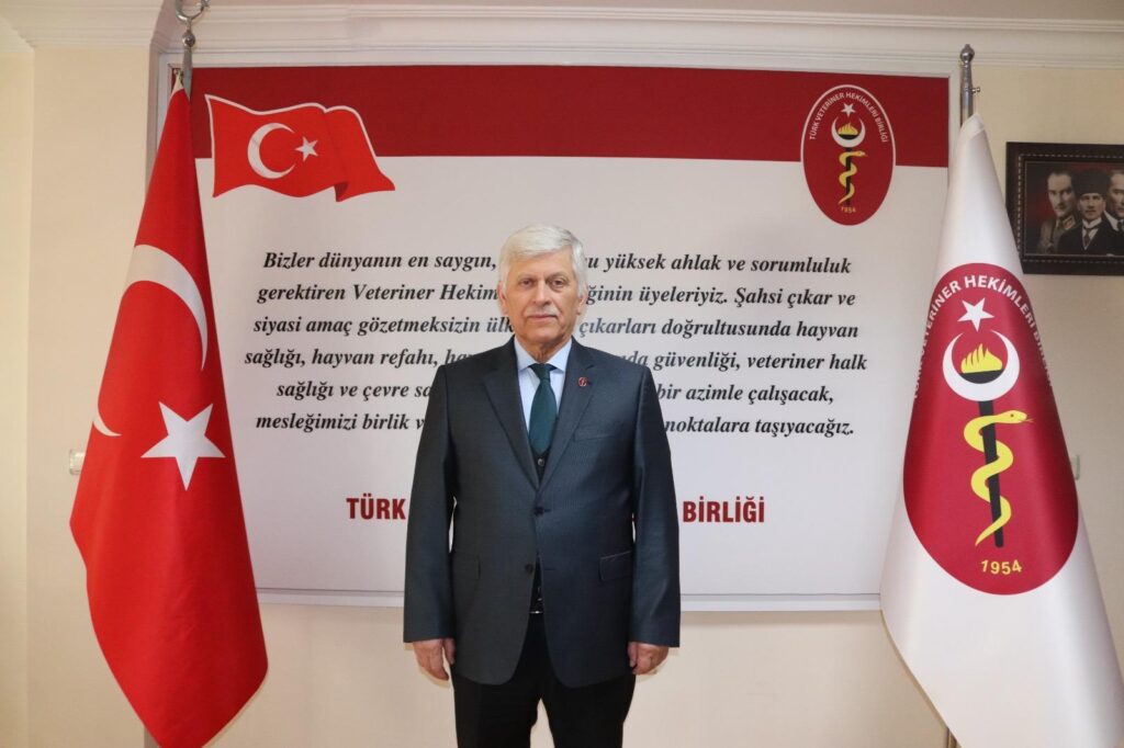 Türkiye’de sahipsiz hayvanlara yönelik şiddet artıyor