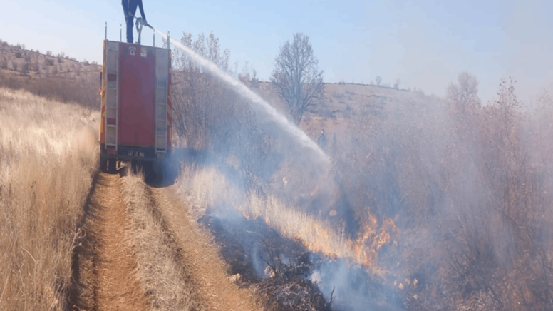 Mardin’de örtü yangını: Çok sayıda ağaç zarar gördü