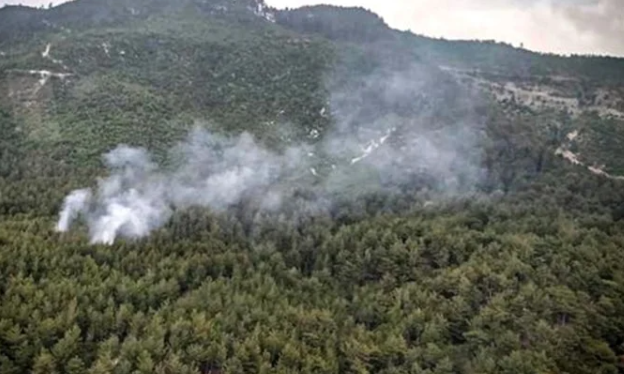 Osmaniye’de Örtü Yangını