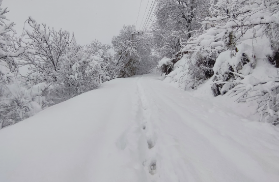 Erzurum’da Mart karı etkili oldu: 416 yerleşim yeri ulaşıma kapandı