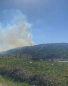 Çanakkale’de orman yangını
