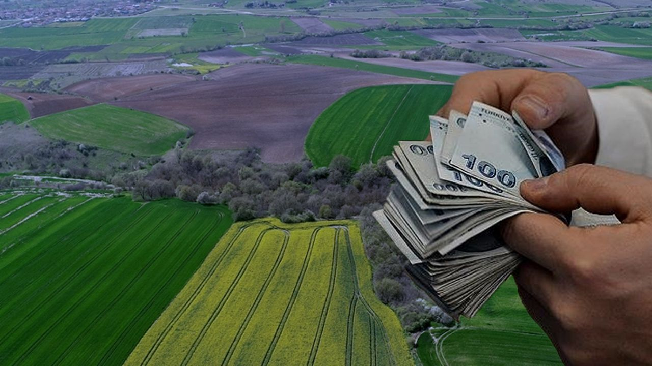 Böyle fiyat görülmedi! 445 milyon TL’lik 8.902 m² arsa satışta!