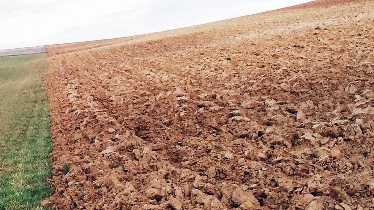 Kayseri Bünyan’da yatırımlık dev araziler: İcradan satışa çıkıyor!