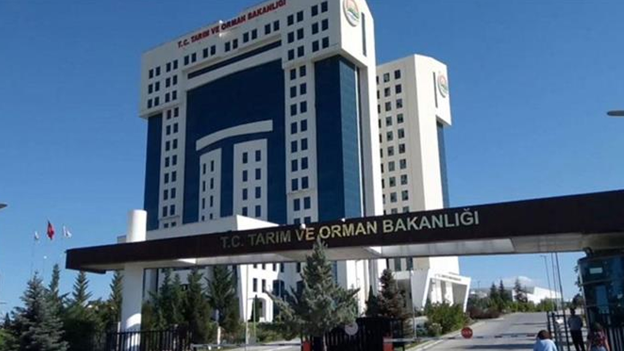 Tarım ve Orman Bakanlığı’ndan 10 müfettiş alımı
