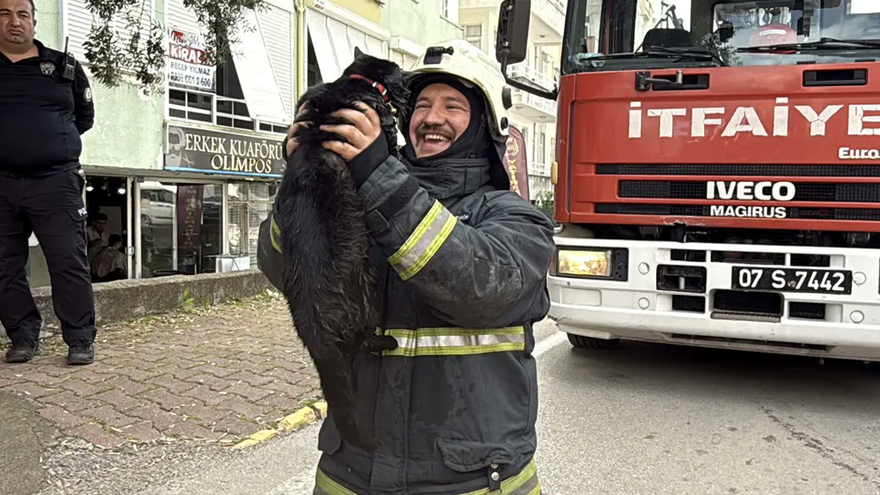 Alevlerin arasından mucize: İtfaiye eri kediyi hayata döndürdü!