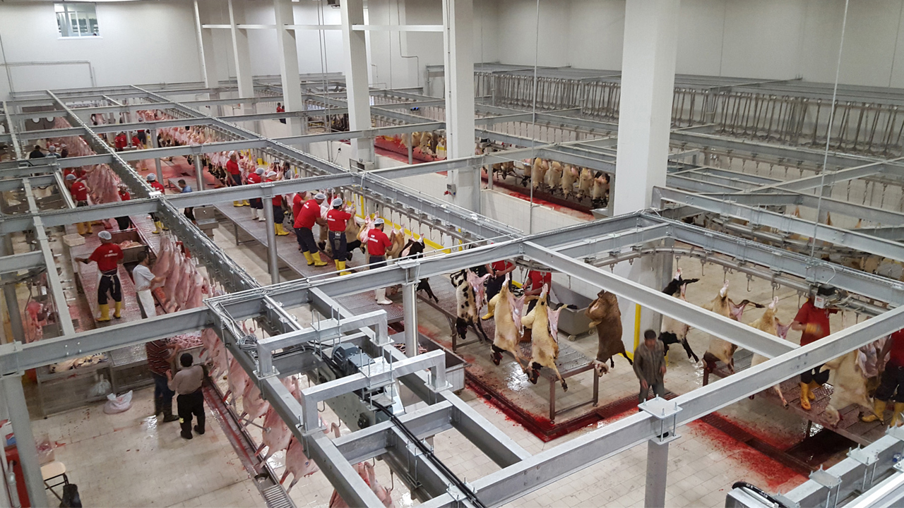 Manisa Büyükşehir’den kiralık kesimhane tesisi: 10 yıllık ihale başlıyor