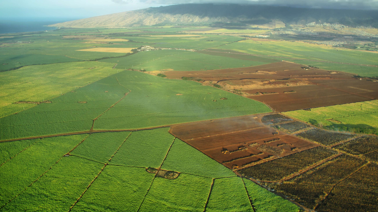 Hazine arazileri satışa çıktı! Peşin ödemede yüzde 20 indirim ve 5 yıl emlak vergisi muafiyeti fırsatı