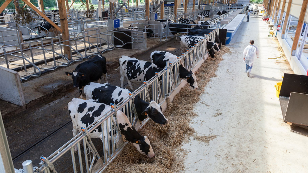Tarımda devrim niteliğinde proje: Gençler hem maaş alacak hem çiftlik sahibi olacak!
